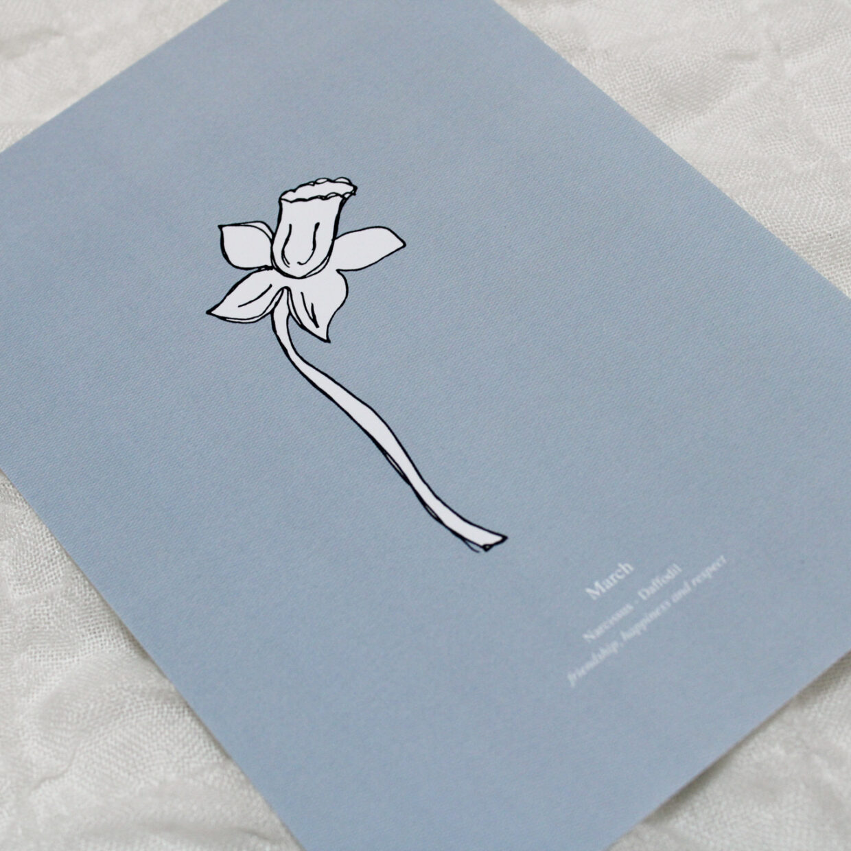 Poster Birthflower March - Daffodil