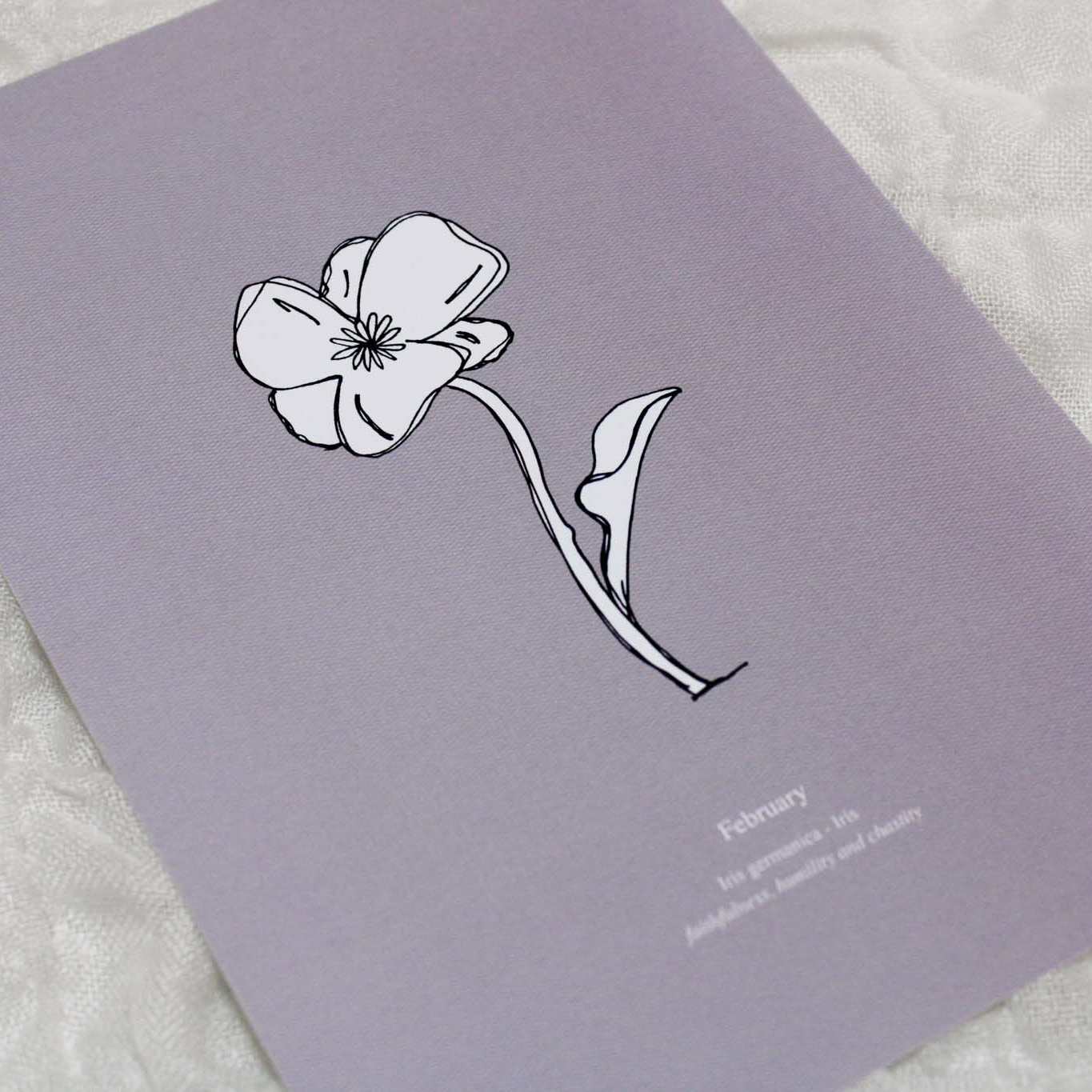 Poster Birthflower February - Iris